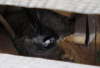 P5150289